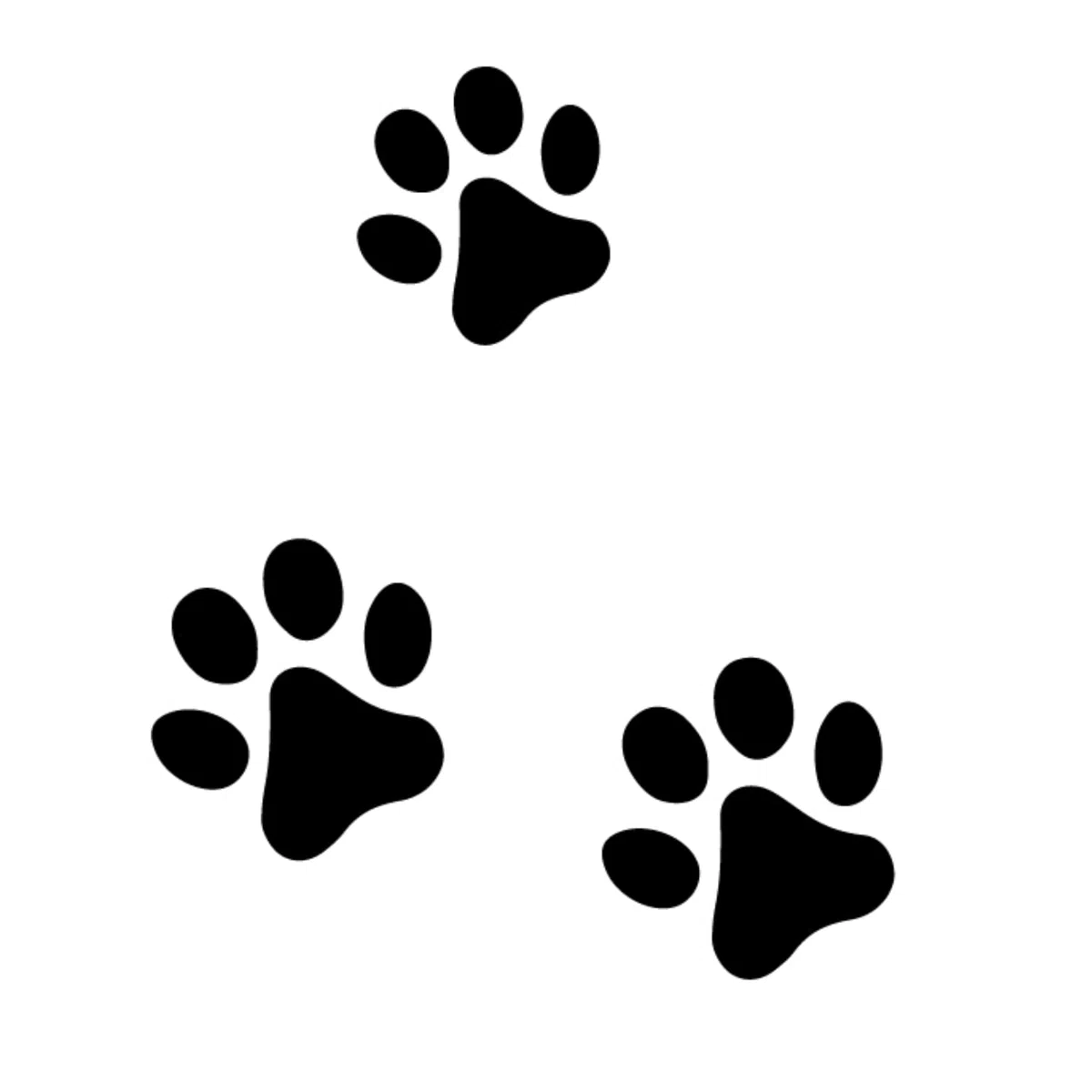 Trio di gambe piene | Tatuaggio Temporaneo con Certificazione Cosmetica UE - L'Originale | Resistente all'Acqua + Vegano | Tatuaggio Rivoluzionario di 2 Settimane